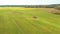 4K Elevated View Of Combine Harvester Tractor In Field. Harvesting Of Oilseed In Spring. Agricultural Machines