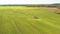 4K Elevated View Of Combine Harvester Tractor In Field. Harvesting Of Oilseed In Spring. Agricultural Machines