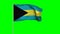 4k flag of Bahamas in a pole