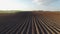 4K. Flight above freshly cultivated fields at sunset in spring, aerial view