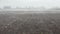 4K Fog in Agriculture Field, Vapor, Fume, Steam on Colza, Rape Cultivated Land