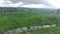 4K footage Aerial view of beautifully patterned tea fields.