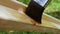 4K footage. Close-up paintbrush varnishing wooden plank