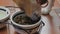 4K footage. Cute beagle puppy eating from dog bowl. Cute Beagle puppy eating at home. Adorable pet