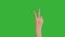 4K footage real time close-up hand of asian young girl counting from one to five isolated on chroma key green screen background.