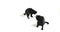 4k footage of two black cats playing on bright white background