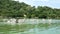 4K. group of pelicans bird fly over the lake to catch some fish for food. Pelican bird wildlife