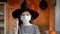 4k. Halloween kids mask. Teen girl in witch costume and black hat. Child in protective medical mask waving hand during