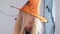 4k. Halloween kids. Portrait blonde girl in witch costume at home. Child puts witch hat on her head. Holiday