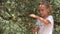 4K Kid Picking Olives in Orchard, Happy Playing Child, Kid in Nature