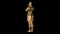 4K King Nebuchadnezzar`s Dream Gold Statue Daniel Presentation 3D Illustration - WITH TRANSPARENT BACKGROUND [45sec 60fps Looping