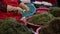 4K Korean Woman At Work In Seafood Market Sell Fresh Clams In Jagalchi Busan