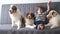 4k. little boy playing with three Small Australian shepherd puppy dog on couch