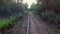 4K. Low flight above narrow-gauge railway in the forest, aerial.