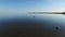 4K. Magic flight with birds over the sea at sunset above stones standing in the water, aerial view.