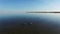 4K. Magic flight with birds over the sea at sunset above stones in the water, aerial view