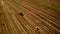 4K. Modern tractor makes haystacks on the field after harvesting. Aerial view