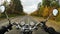 4K. Motorcycle riding on the golden forested road, wide point of view of rider. Classic cruiser/chopper forever!