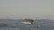 4k ocean boats sunset sky sea slog2 S-Gamut