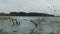 4K. Panoramic view of wild frozen lake in early spring, nice place for fishing