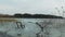 4K. Panoramic view of wild frozen lake in early spring, nice place for fishing