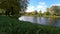 4k peaceful timelapse of reflection of trees in the pond i