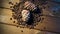 4k. Pine nuts and pine cones rotate on a wooden table