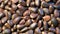 4k. Pine nuts rotate on the table. Close up.
