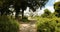 4K POV view of 4x4 safari vehicle driving in bush of Kruger national park, Lush