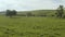 4K resolution, aerial drone at 29 frames per second over mountain in National Park with cloudy skies.