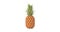 4k Resolution Video: Fresh Ripe Tropical Healthy Nutrition Pineapple Fruit Rotating on a white background with alpha matte