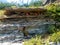 4k Rocky Mountain stream geological formation with flowers in the summer