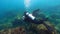 4K Scuba divers exploring underwater. People in diving gear dives down water