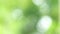 4K seamless loop beautiful blurry green nature bokeh background. Sunlight shining through the leaves of trees.
