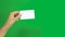 4K. set of woman hand showing blank white business name card paper isolated on chroma key green screen background