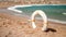 4k slow motion video of life saving ring buoy on the sandy beach at windy day on the beach