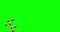4K Social media animated heart on green screen, animation coming in from bottom on green chroma key.