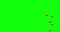 4K Social media animated heart on green screen, animation coming in from bottom on green chroma key.