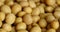 4k soybean beans closeup,seeds food raw material,delicious dishes seed bean.