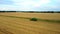 4K spectacular straight down zoom out rotating aerial view of two combine harvesters harvesting wheat