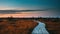 4K Swamp Nature Landscape. Sunset Time Lapse Time-Lapse Wooden Hiking Trail Winding Through Marsh. Cognitive Boardwalk