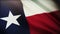 4k Texas flag,State in United States America,cloth texture loop background.