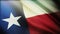 4k Texas flag,state in United States America,cloth texture seamless background.