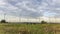 4K Time-laps wind turbines turning. Windmill with corn field foreground and cloud sky background