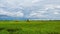 4K Time lapse of farmer uses machine to harvest rice on paddy field