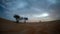 4K time lapse of sky clouds with moonlight night over the sand dune desert with trees.