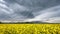 4K timelapse footage with rapeseed and storm clouds in the Carpathian mountains , Romania country side