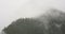 4k timelapse mountain mist rising in the morning,fog trees,Bomi County,tibet.