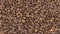 4k Top Of View Of Texture Of Roasted Coffee Beans Rotate