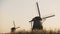 4K Two idyllic Dutch rustic windmills in a field. Netherlands. Amazing peace and quiet with light breeze and clear sky.